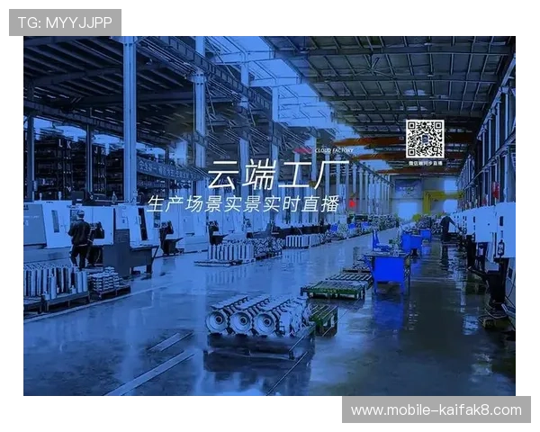 在K8凯发旗舰厅下载官网上如何保障个人信息安全与防范网络风险